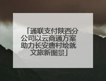 通联支付陕西分公司以云商通方案助力长安唐村绘就文旅新图景
